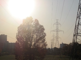 460>_5908837